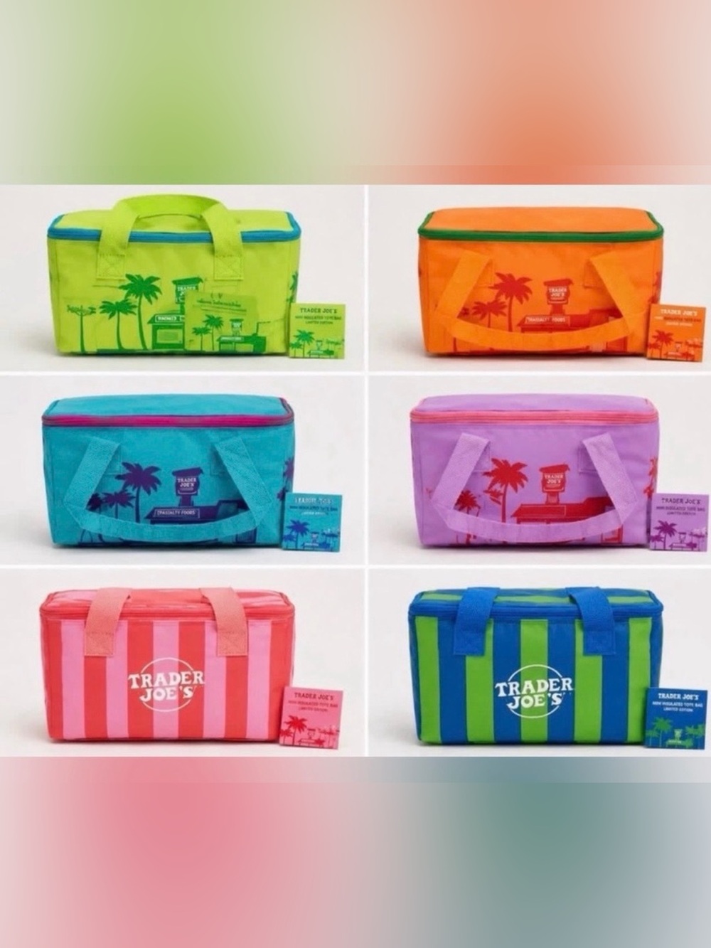 Trader Joe's Colorful Insulated Lunch Bag’s- Multiple Colors